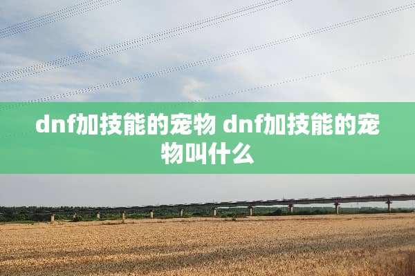 dnf加技能的宠物 dnf加技能的宠物叫什么