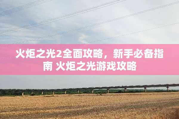火炬之光2全面攻略，新手必备指南 火炬之光游戏攻略
