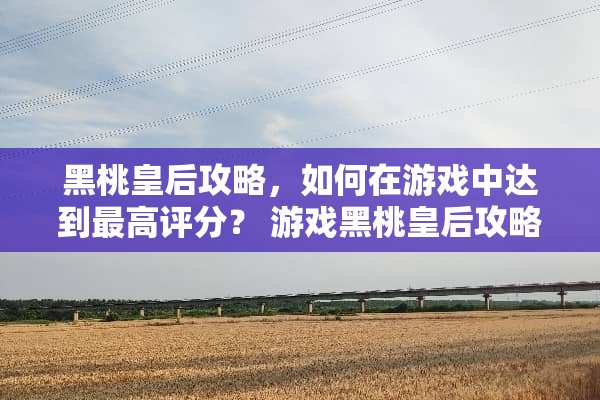 黑桃皇后攻略，如何在游戏中达到最高评分？ 游戏黑桃皇后攻略