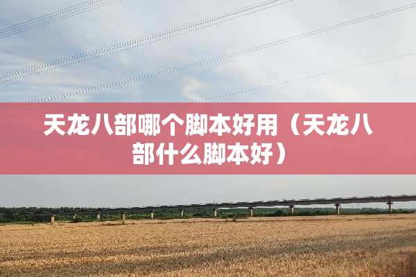 天龙八部哪个脚本好用（天龙八部什么脚本好）