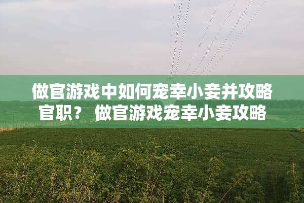 做官游戏中如何宠幸小妾并攻略官职？ 做官游戏宠幸小妾攻略