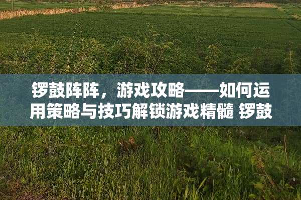 锣鼓阵阵，游戏攻略——如何运用策略与技巧解锁游戏精髓 锣鼓阵阵游戏攻略