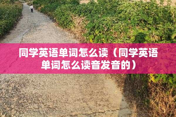 同学英语单词怎么读（同学英语单词怎么读音发音的）