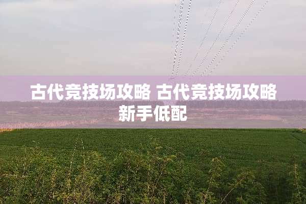 古代竞技场攻略 古代竞技场攻略新手低配