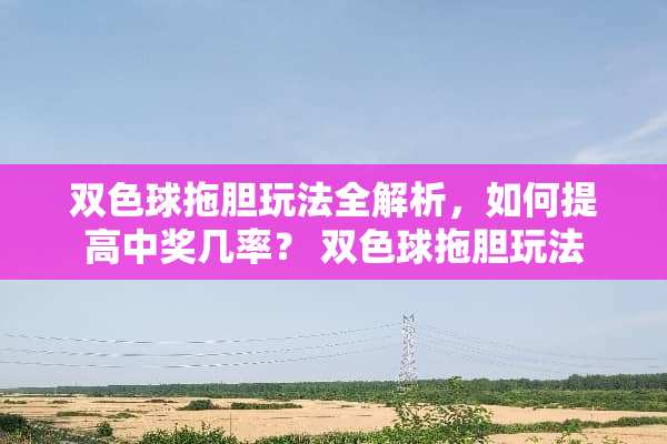 双色球拖胆玩法全解析，如何提高**几率？ 双色球拖胆玩法