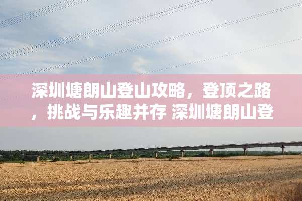 深圳塘朗山登山攻略，登顶之路，挑战与乐趣并存 深圳塘朗山登山攻略
