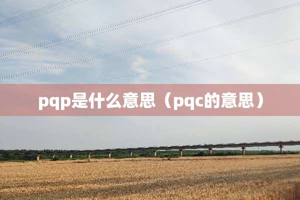 pqp是什么意思（pqc的意思）