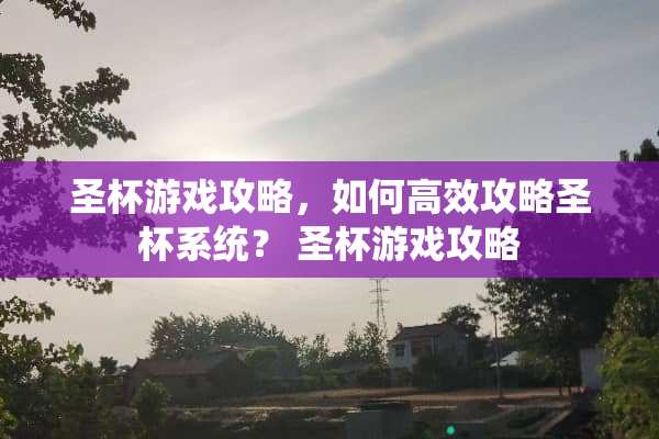 圣杯游戏攻略，如何高效攻略圣杯系统？ 圣杯游戏攻略