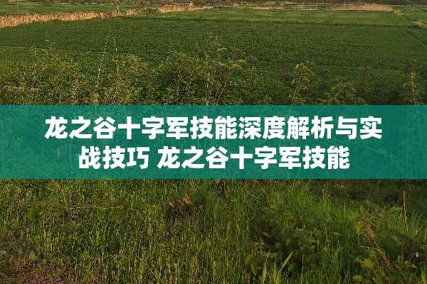 龙之谷十字军技能深度解析与实战技巧 龙之谷十字军技能 龙之谷十字军技能深度解析与实战技巧 龙之谷十字军技能