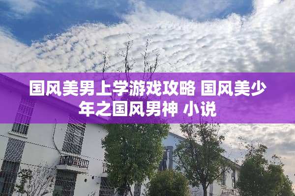 国风**上学游戏攻略 国风美少年之国风男神 小说