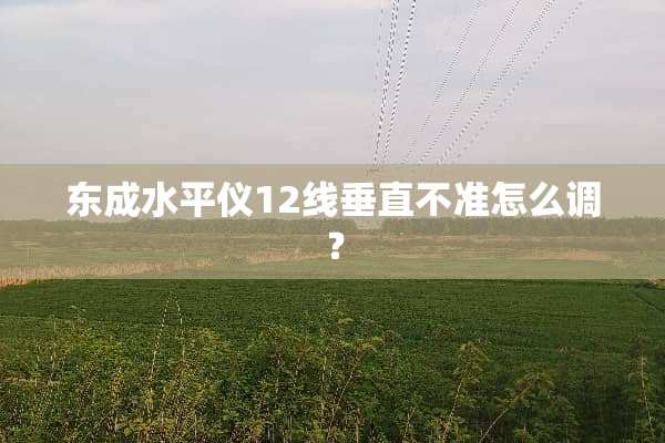 东成水平仪12线垂直不准怎么调？