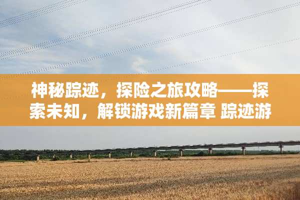 神秘踪迹，探险之旅攻略——探索未知，解锁游戏新篇章 踪迹游戏攻略