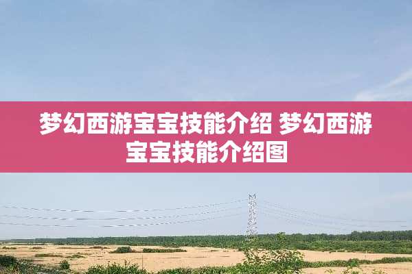 梦幻西游宝宝技能介绍 梦幻西游宝宝技能介绍图