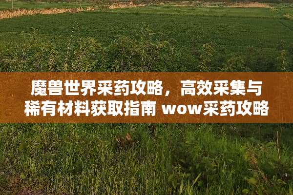 魔兽世界采药攻略，高效采集与稀有材料获取指南 wow采药攻略
