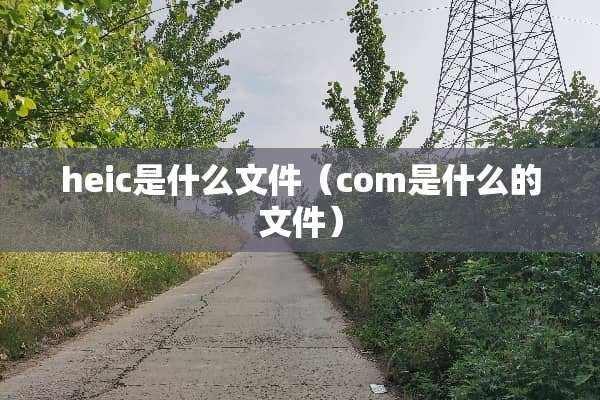 heic是什么文件(com是什么的文件) heic是什么文件(com是什么的文件)