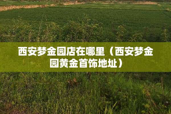 西安梦金园店在哪里（西安梦金园黄金首饰地址）