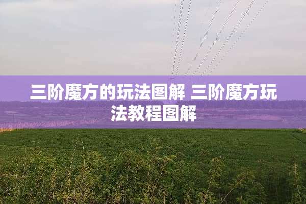 三阶魔方的玩法图解 三阶魔方玩法教程图解 三阶魔方的玩法图解 三阶魔方玩法教程图解