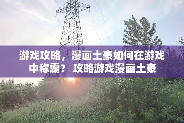 游戏攻略，漫画土豪如何在游戏中称霸？ 攻略游戏漫画土豪