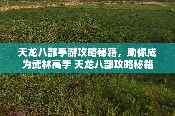 天龙八部手游攻略秘籍，助你成为武林高手 天龙八部攻略秘籍