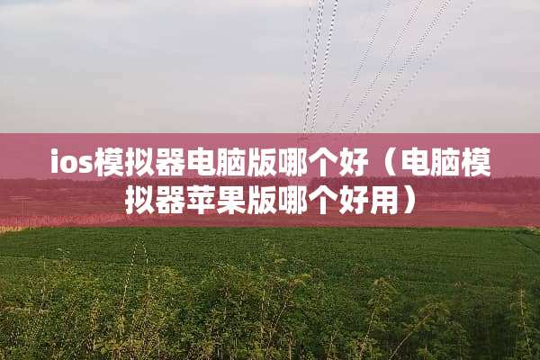 ios模拟器电脑版哪个好（电脑模拟器苹果版哪个好用）