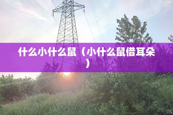 什么小什么鼠（小什么鼠借耳朵）