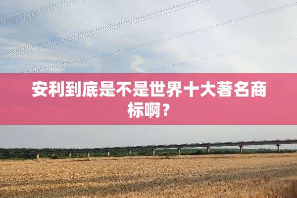 安利到底是不是世界十大著名商标啊？