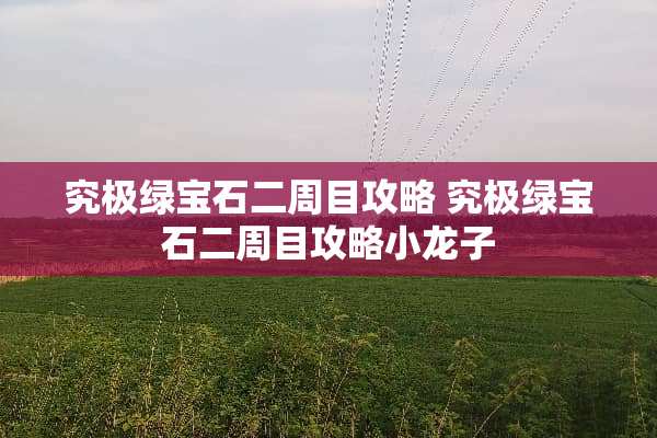 究极绿宝石二周目攻略 究极绿宝石二周目攻略小龙子 究极绿宝石二周目攻略 究极绿宝石二周目攻略小龙子