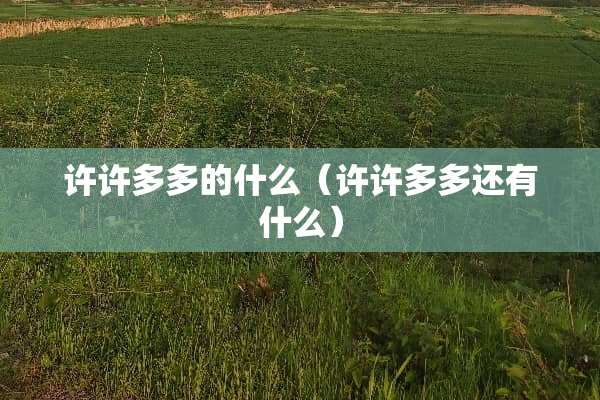 许许多多的什么（许许多多还有什么）