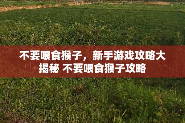 不要喂食猴子,新手游戏攻略大揭秘 不要喂食猴子攻略 不要喂食猴子,新手游戏攻略大揭秘 不要喂食猴子攻略