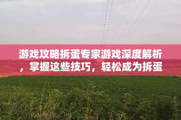 游戏攻略拆蛋专家游戏深度解析,掌握这些技巧,轻松成为拆蛋达人! 拆蛋专家游戏攻略