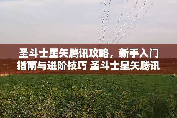 圣斗士星矢腾讯攻略，新手入门指南与进阶技巧 圣斗士星矢腾讯攻略