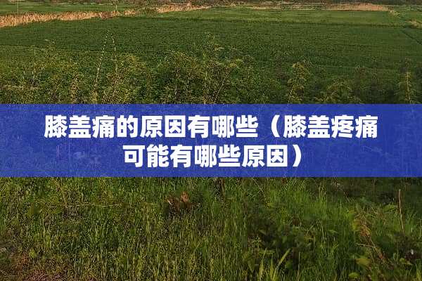 膝盖痛的原因有哪些（膝盖疼痛可能有哪些原因）