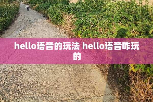 hello语音的玩法 hello语音咋玩的 hello语音的玩法 hello语音咋玩的
