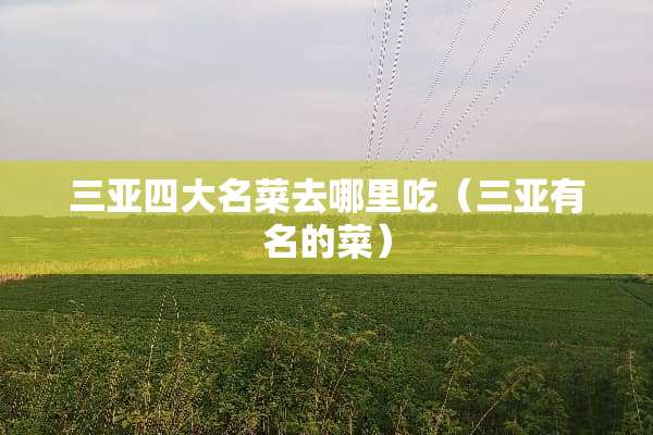 三亚四大名菜去哪里吃（三亚有名的菜）