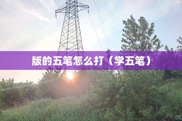版的五笔怎么打（学五笔）