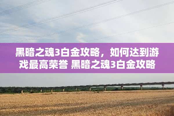 黑暗之魂3白金攻略，如何达到游戏最高荣誉 黑暗之魂3白金攻略