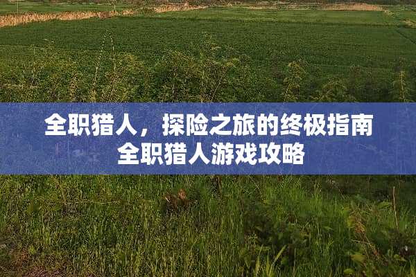 **猎人，探险之旅的终极指南**猎人游戏攻略