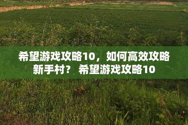 希望游戏攻略10，如何高效攻略新手村？ 希望游戏攻略10