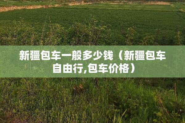 新疆包车一般多少钱（新疆包车自由行,包车价格）