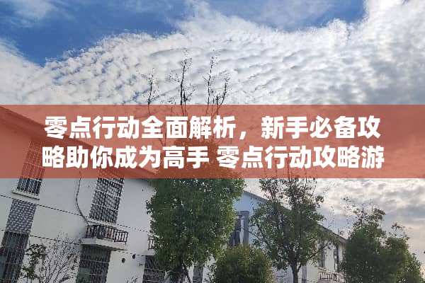 零点行动全面解析，新手必备攻略助你成为高手 零点行动攻略游戏