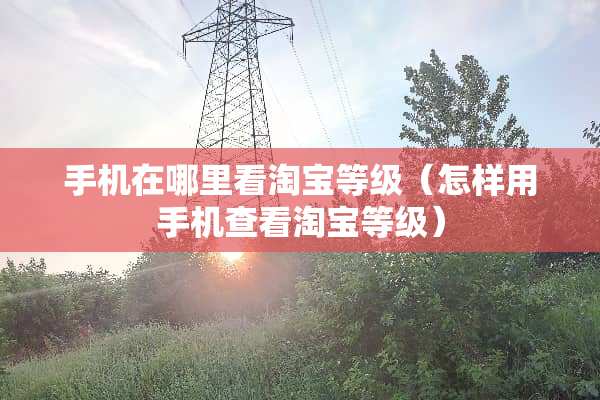 手机在哪里看淘宝等级（怎样用手机查看淘宝等级）