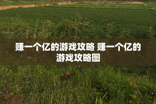 赚一个亿的游戏攻略 赚一个亿的游戏攻略图