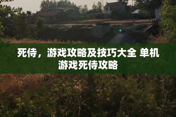 死侍，游戏攻略及技巧大全 单机游戏死侍攻略