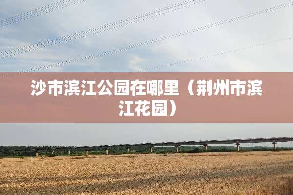 沙市滨江公园在哪里(荆州市滨江花园)