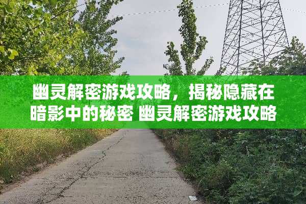 幽灵解密游戏攻略，揭秘隐藏在暗影中的秘密 幽灵解密游戏攻略
