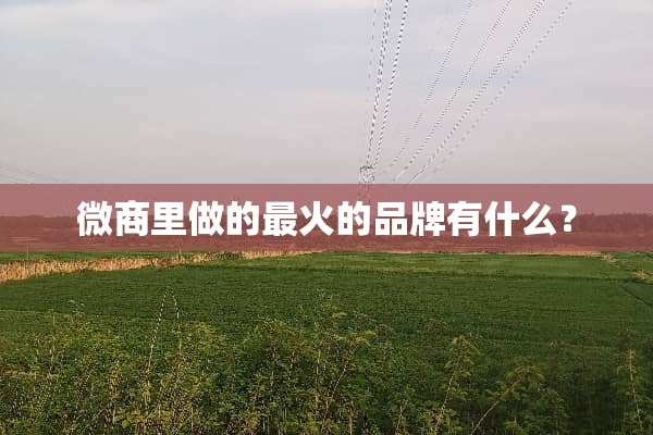 微商里做的最火的品牌有什么？