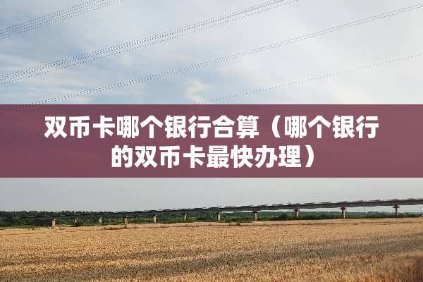 双币卡哪个银行合算（哪个银行的双币卡最快办理）