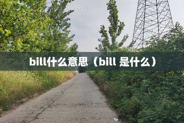 bill什么意思（bill 是什么）