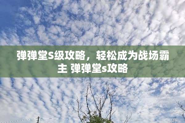 弹弹堂S级攻略，轻松成为战场霸主 弹弹堂s攻略