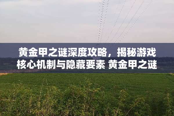 黄金甲之谜深度攻略，揭秘游戏核心机制与隐藏要素 黄金甲之谜攻略